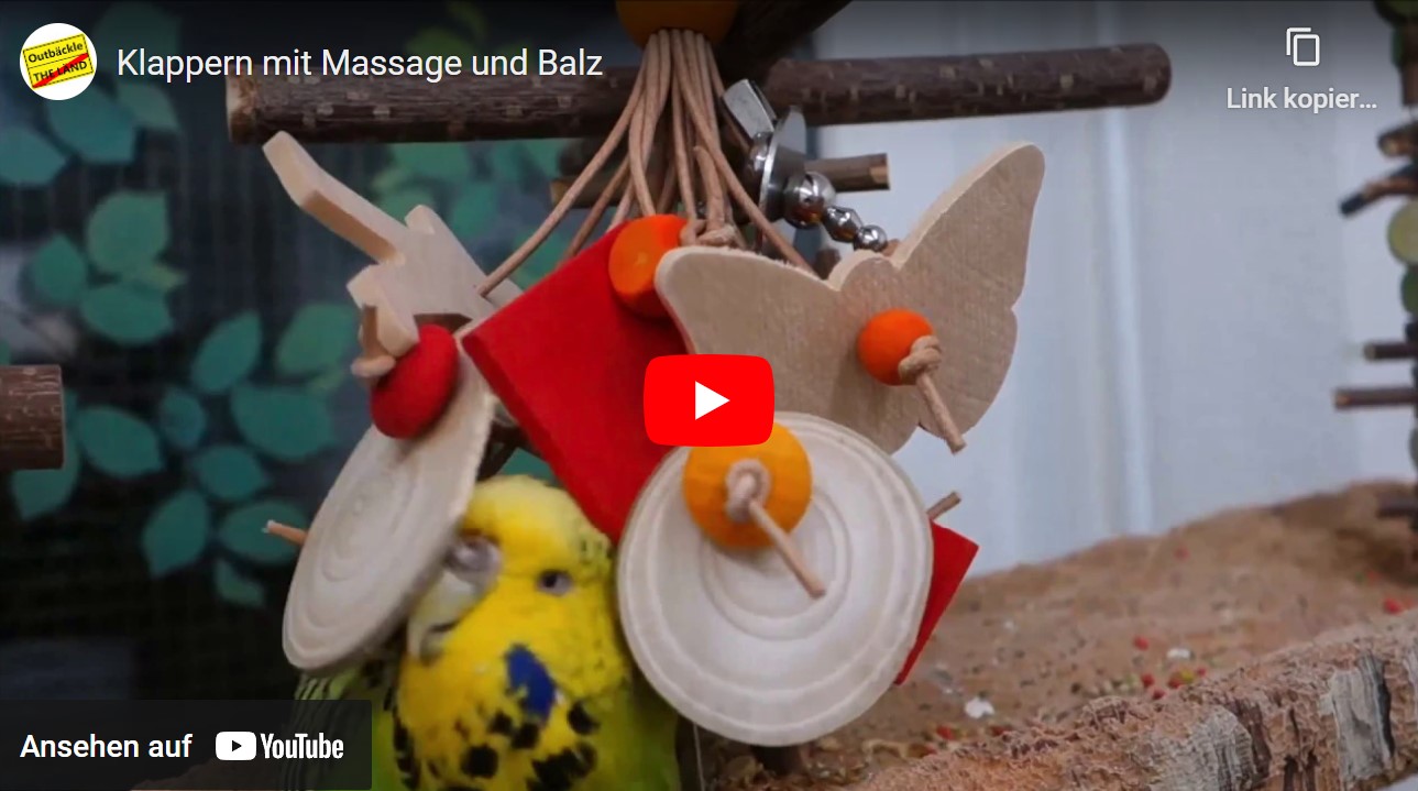 Klappern mit Massage und Balz