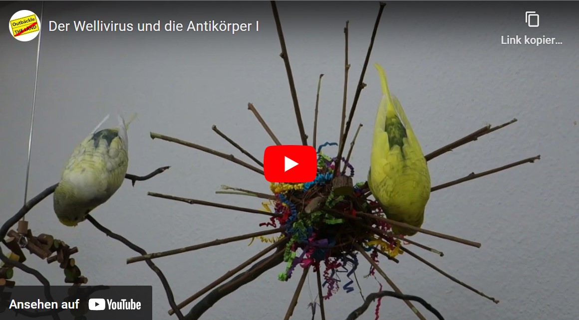 Wellivirus und Antikörper