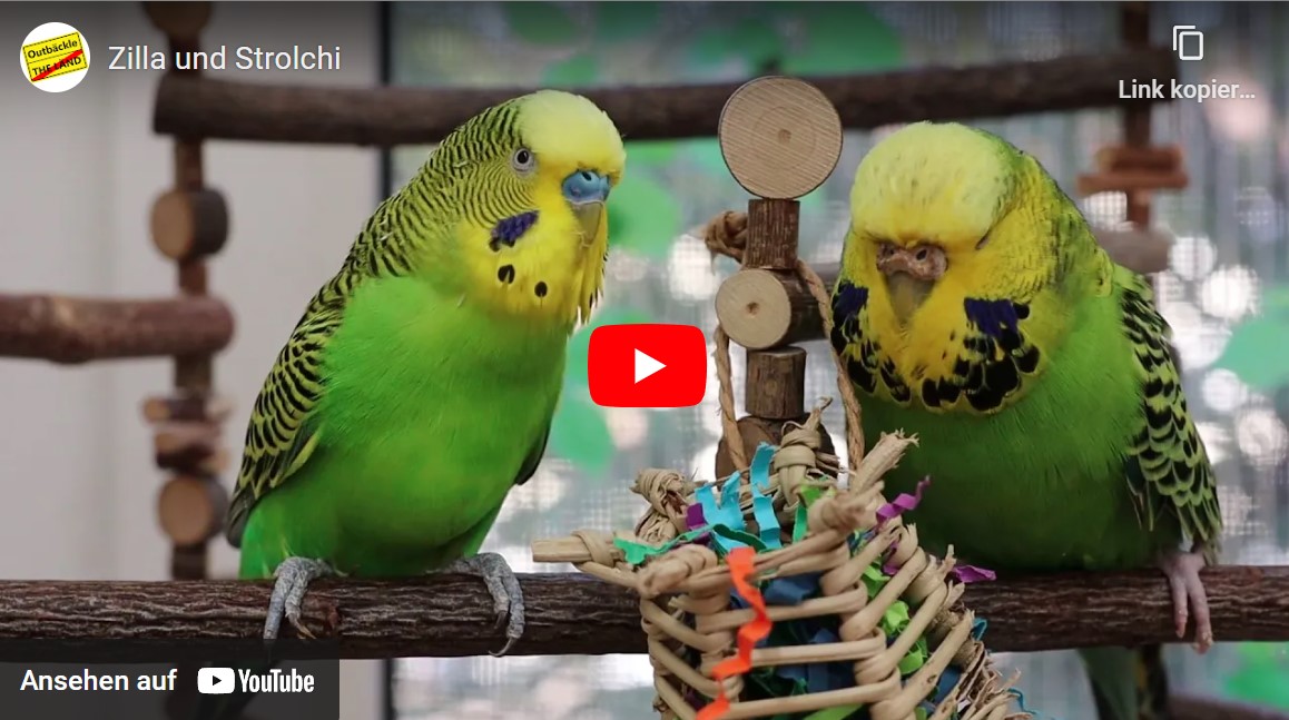 Zilla und Strolchi