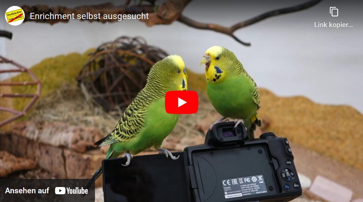 Enrichment selbst ausgesucht