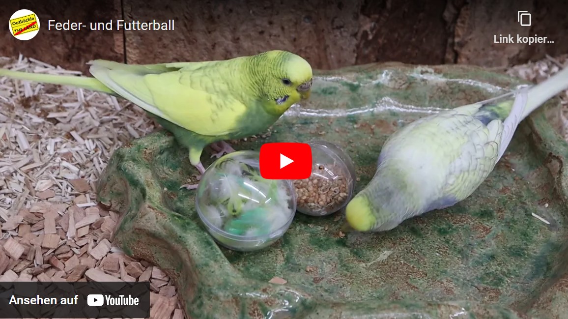 Feder- und Futterball
