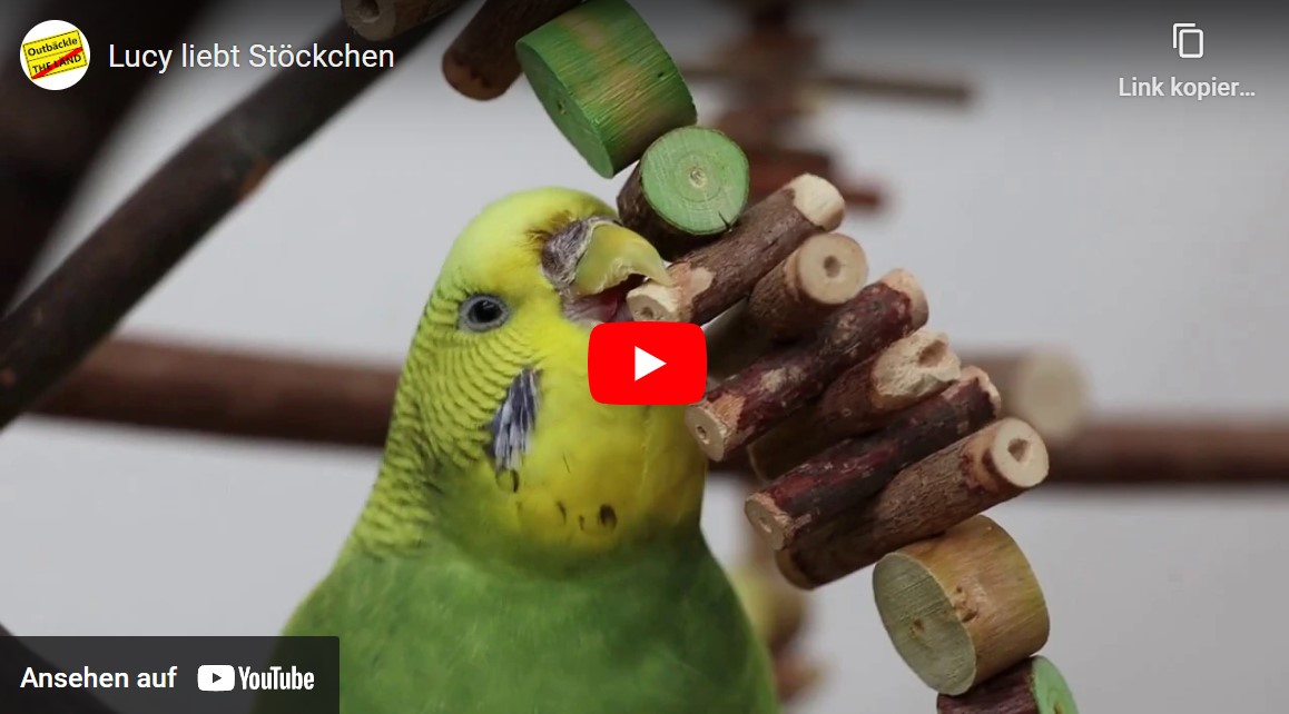 Lucy und die Stöckchen