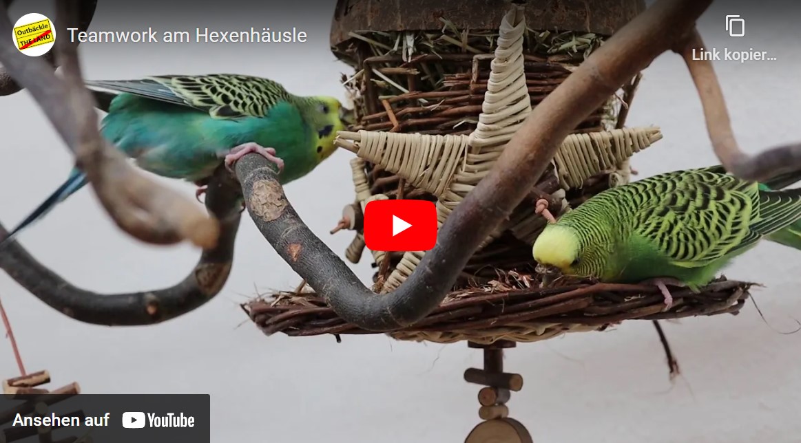 Teamwork am Hexenhäusle