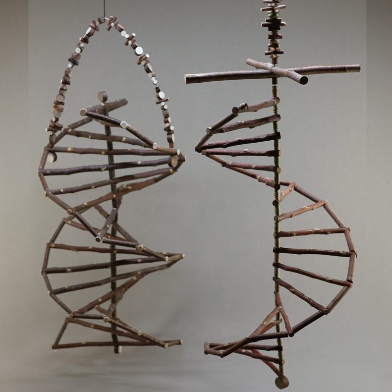 Die Wendeltreppe
