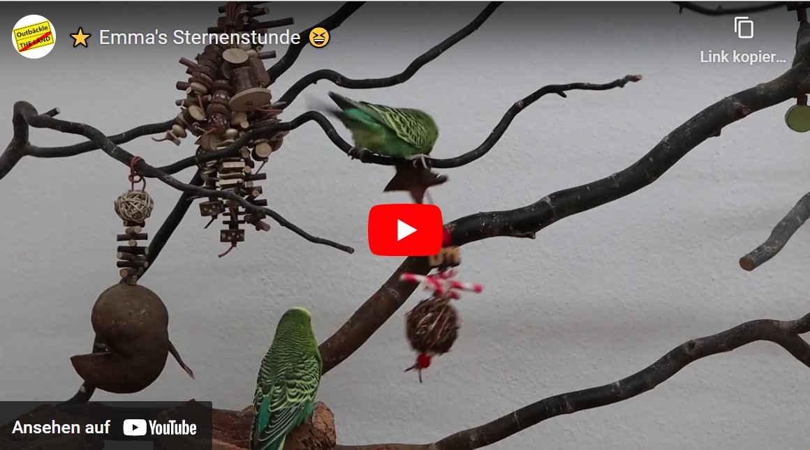 Emma’s Sternenstunde