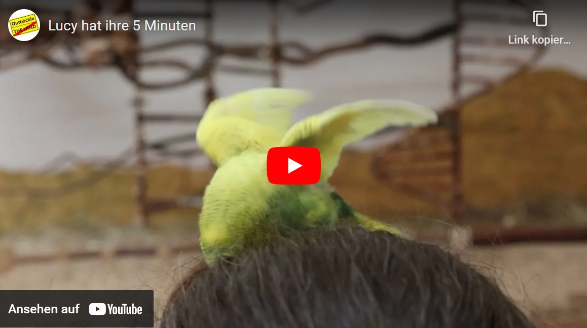 Lucy hat ihre 5 Minuten