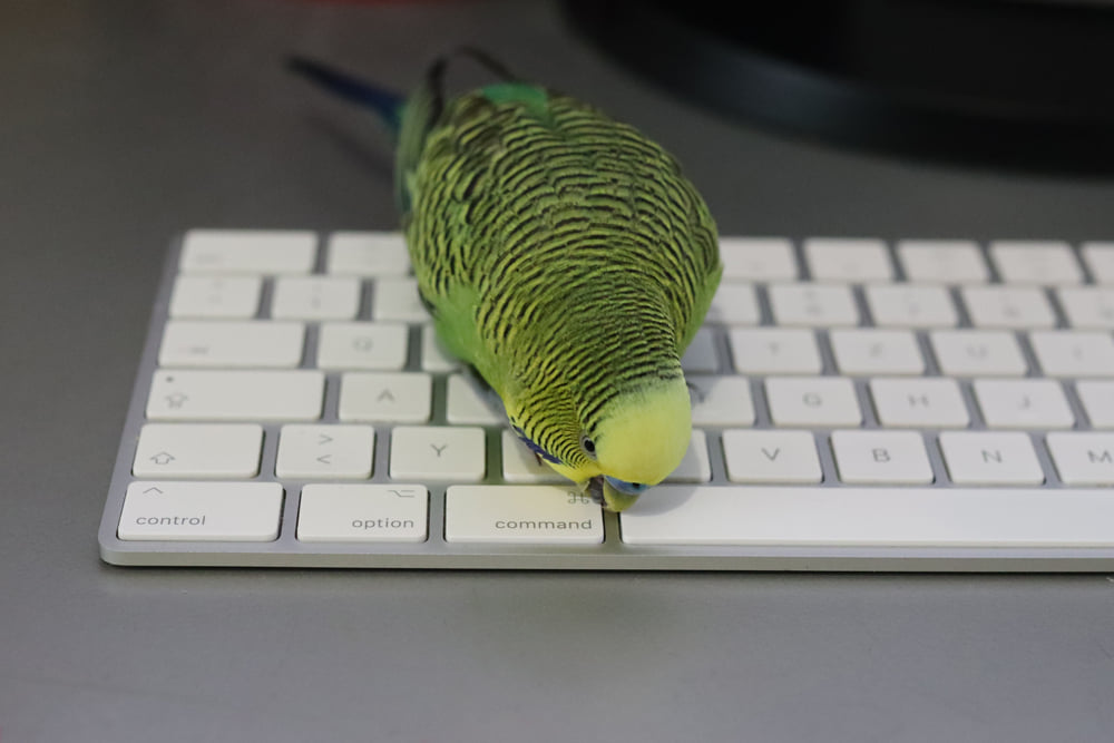 „Computer für Anfänger – Die Tastatur“