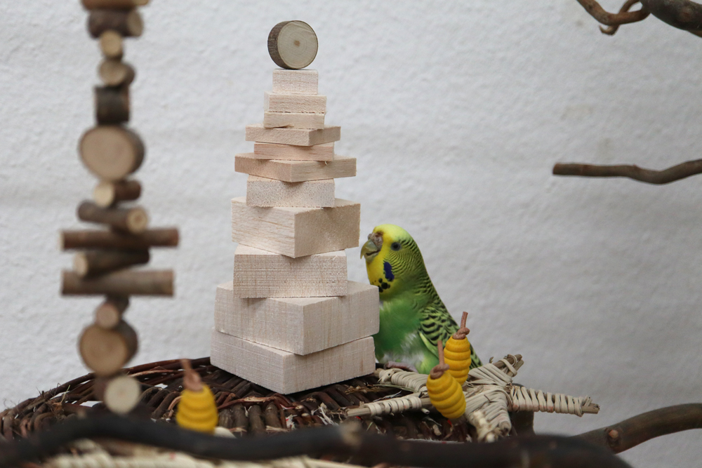 Die Weihnachtsgeschichte aus dem Outbäckle