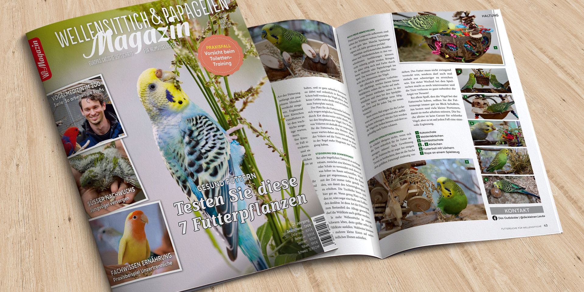 Artikel im WP-Magazin