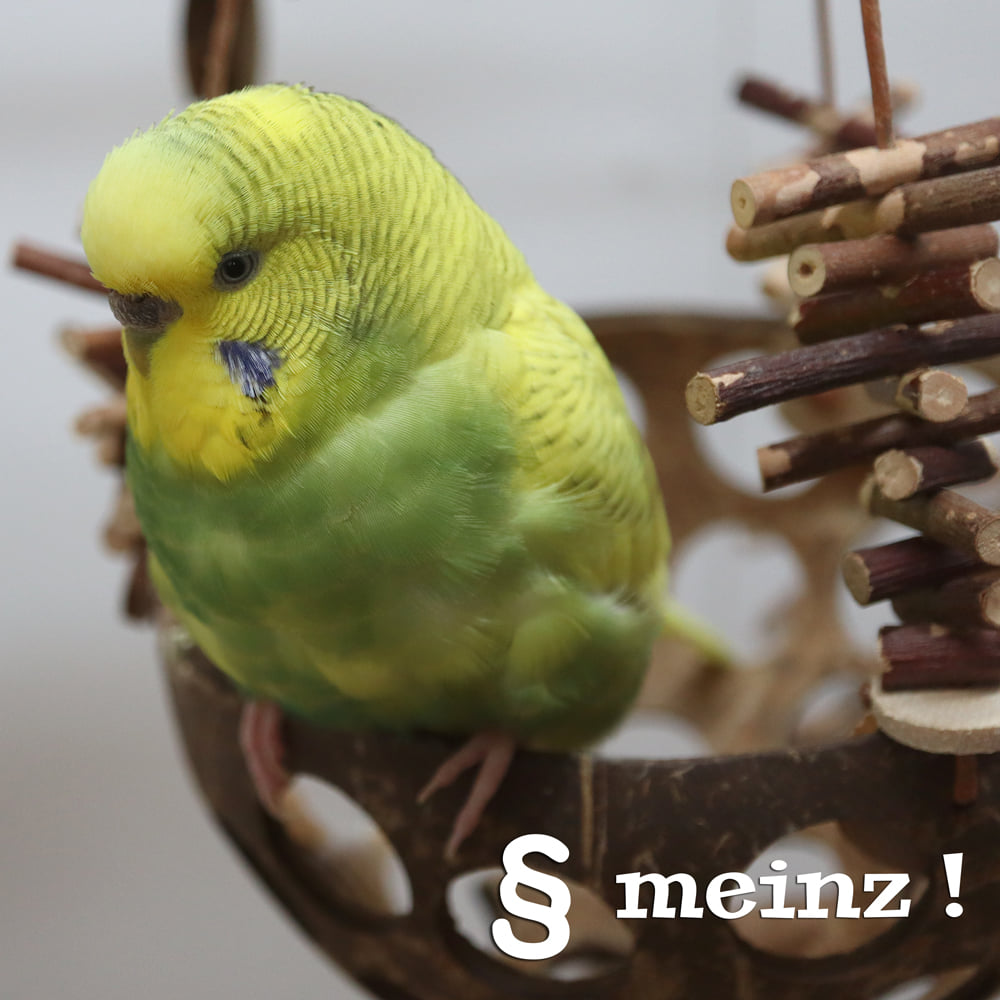 § MEINZ !