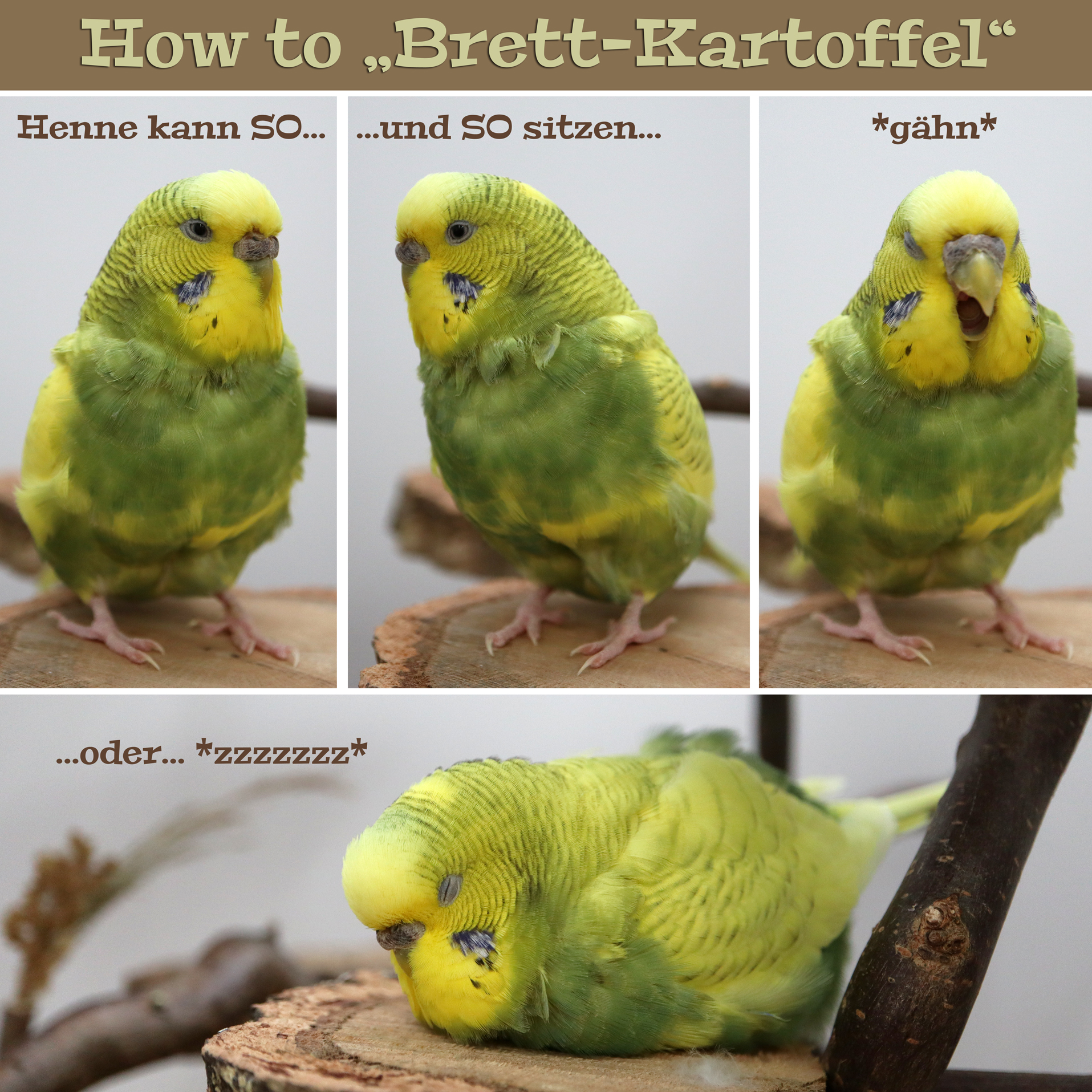 How to „Brettkartoffel“