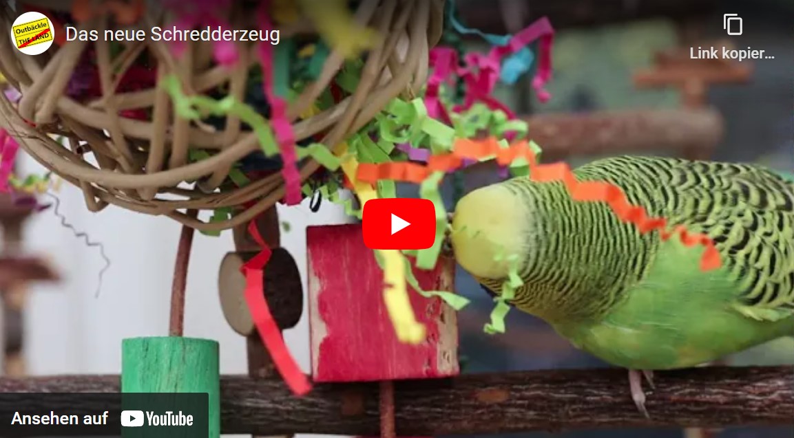 Das neue Schredderzeug