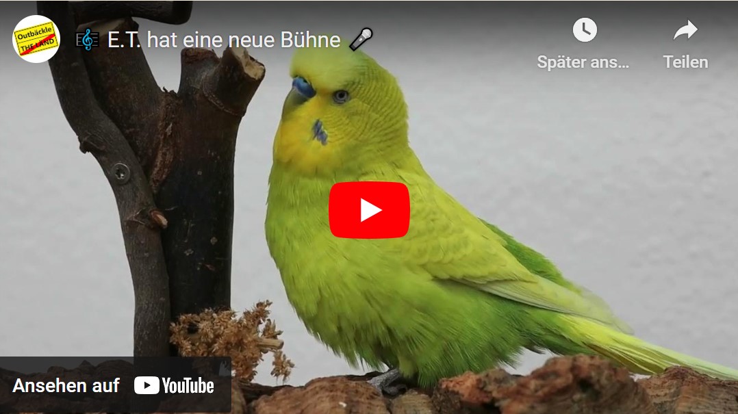 E.T. hat eine neue Bühne