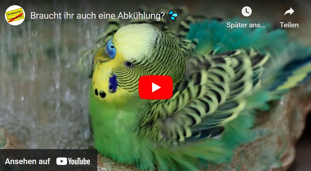 Abkühlung