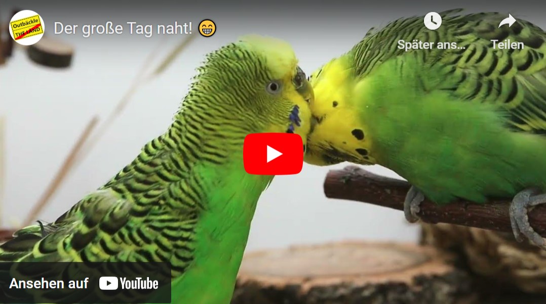 Der große Tag naht!