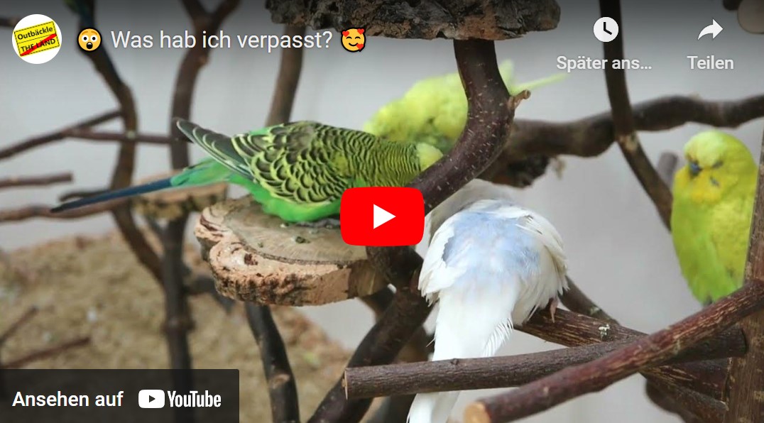 Was hab ich verpasst?
