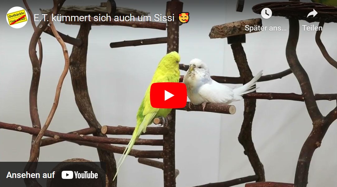 E.T. kümmert sich um Sissi