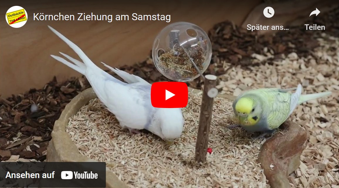 Ziehung am Samstag