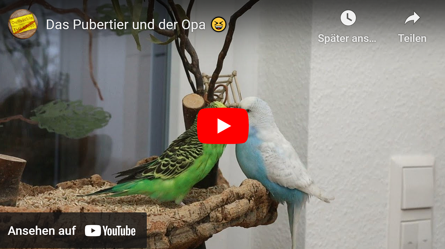 Das Pubertier und der Opa 