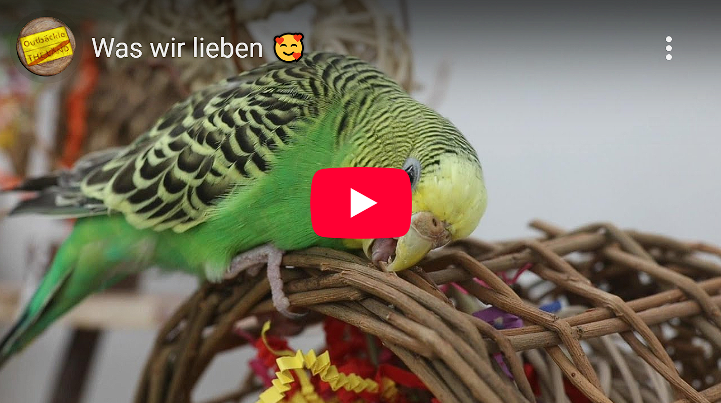 Was wir lieben 