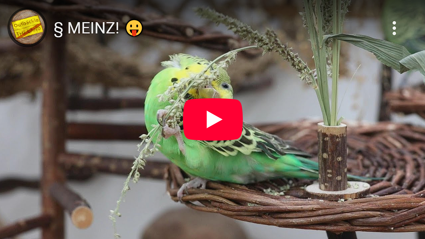 § MEINZ! 
