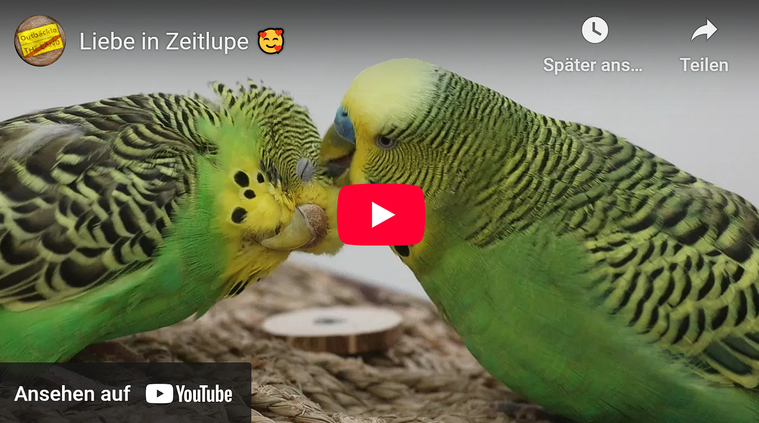 Liebe in Zeitlupe 
