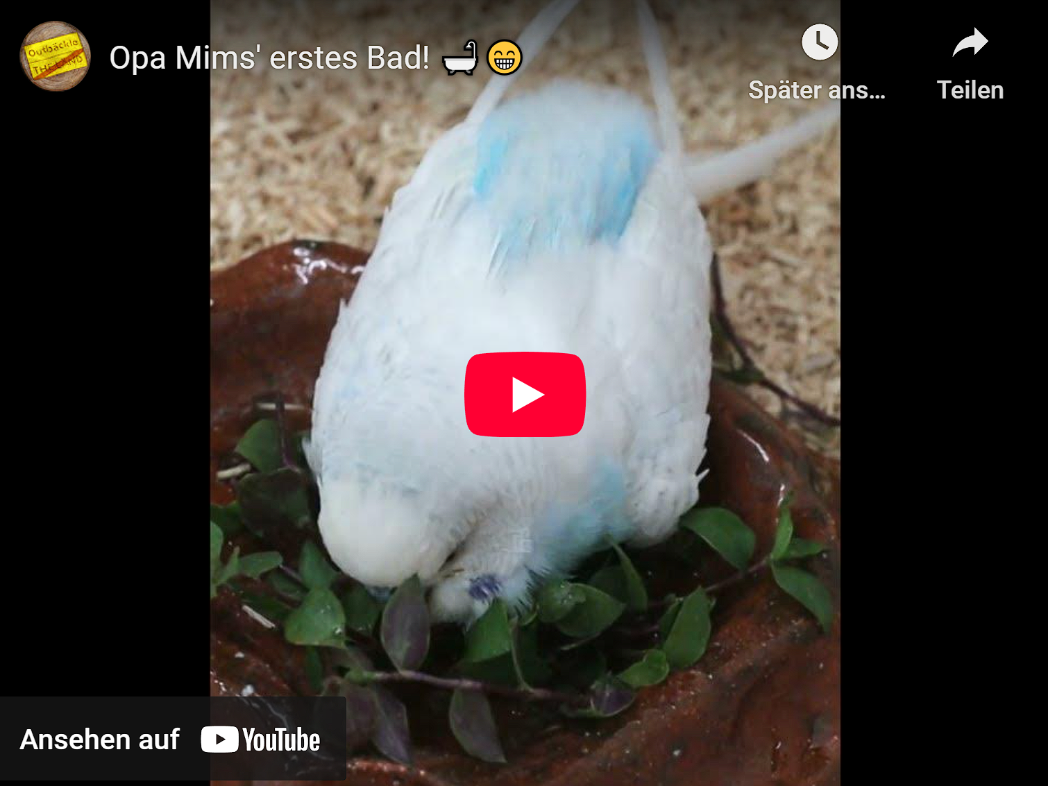 Opa Mims‘ erstes Bad! 