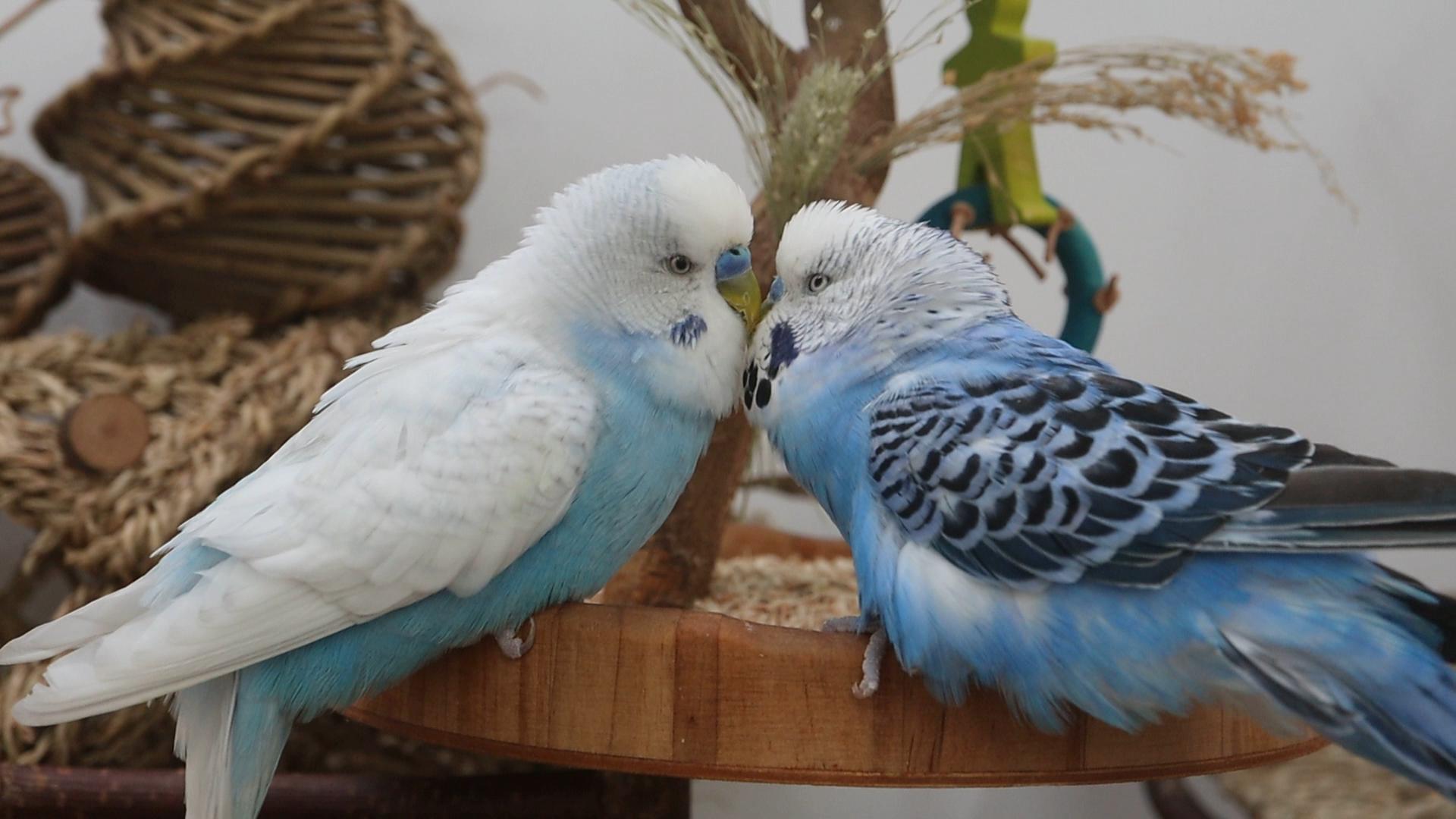 Sooo lieb! 