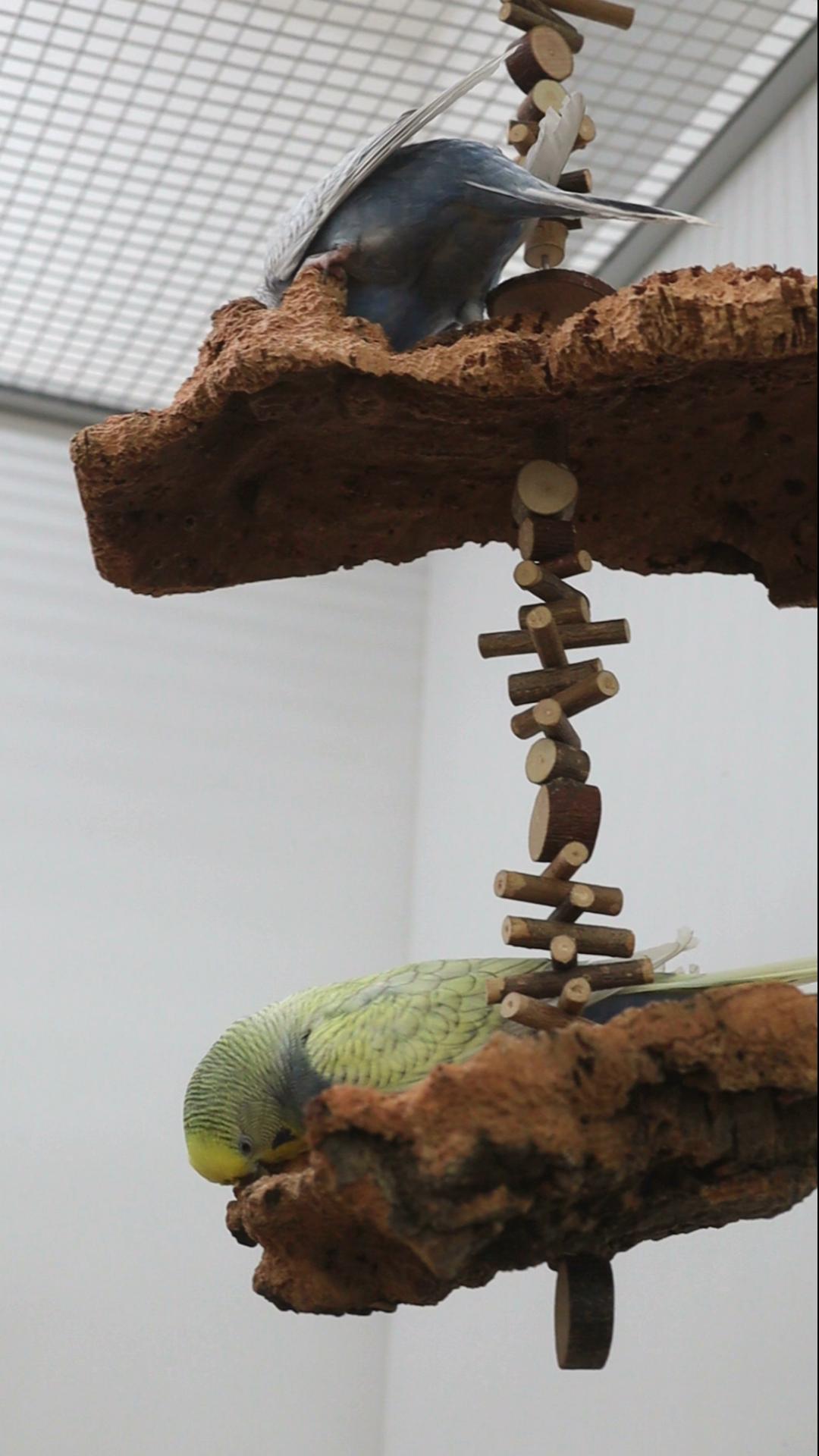 Gemeinschaftsprojekt