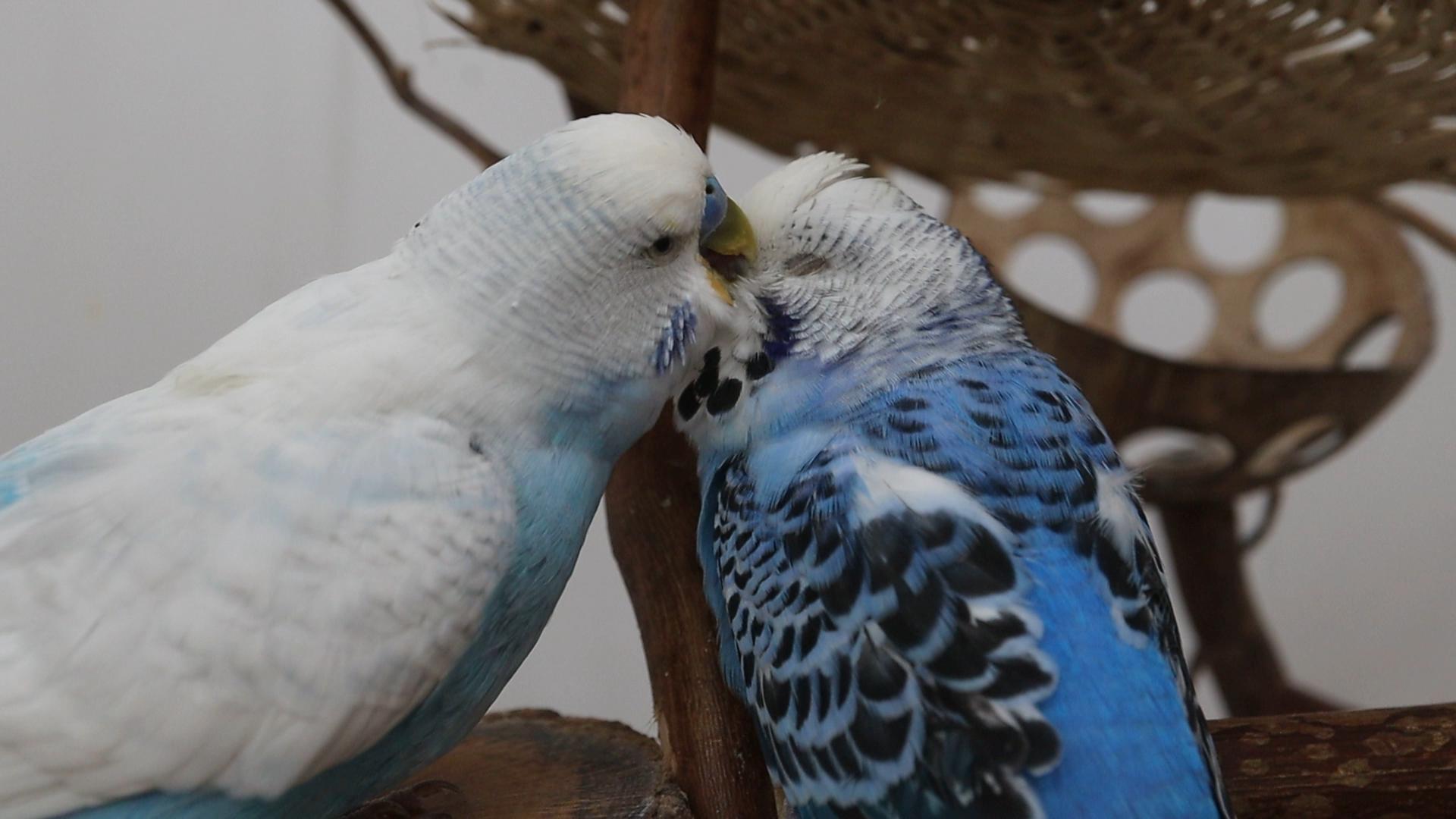 Gute und schlechte Tage