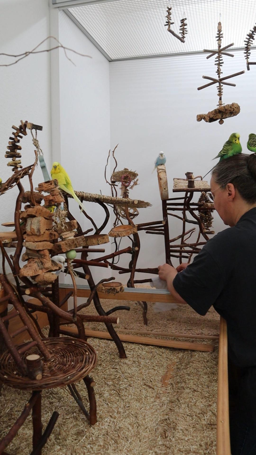 Morgenroutine im Outbäckle