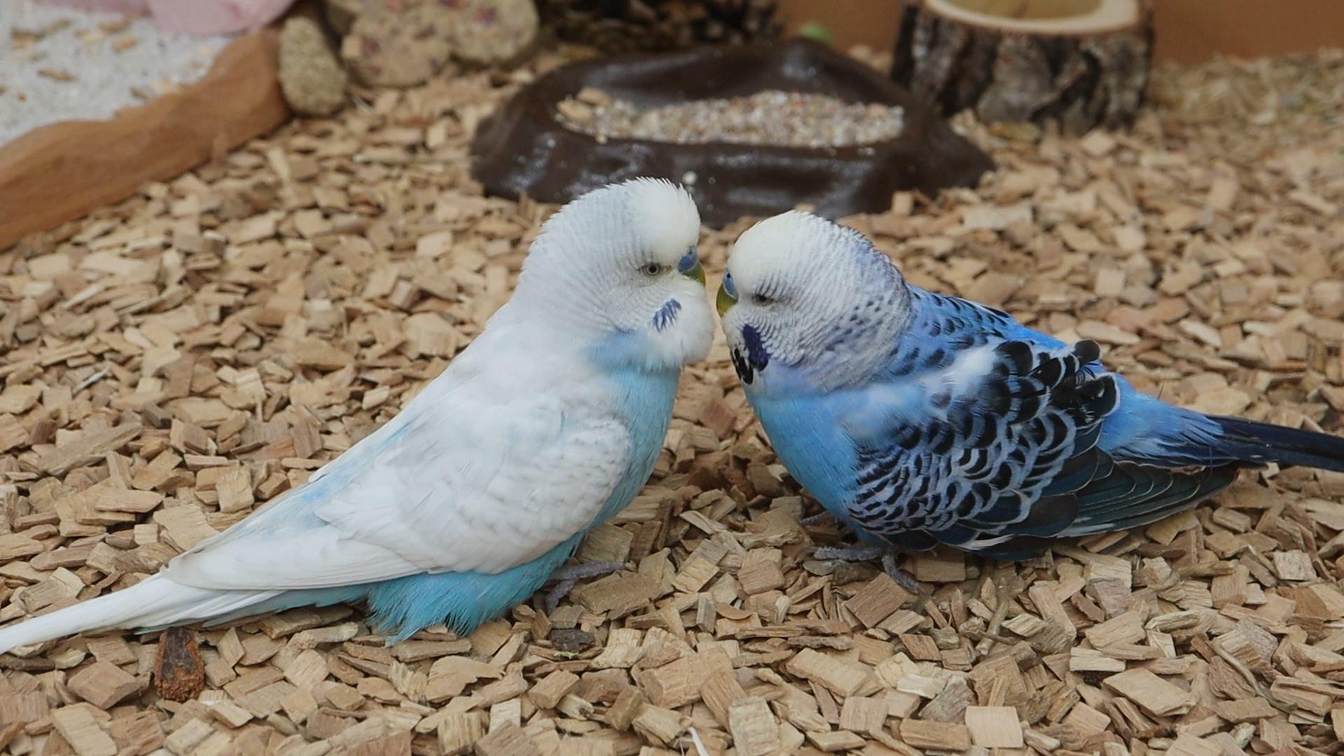 Unterwegs mit zwei Handicaps