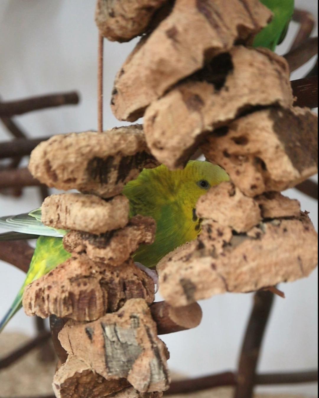 +++ Korkwild gerissen +++