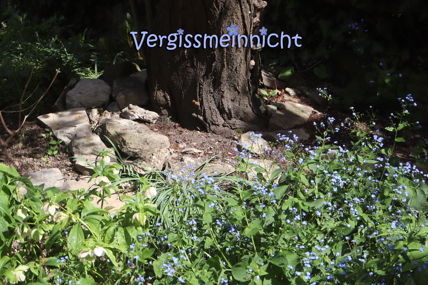 Die letzte Ruhestätte