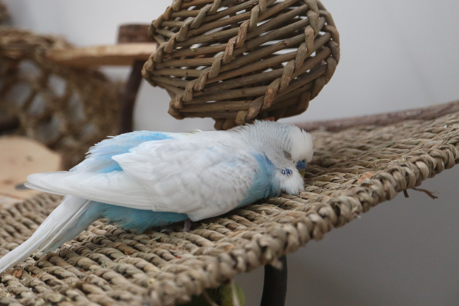 Beim Schrubben eingeschlafen