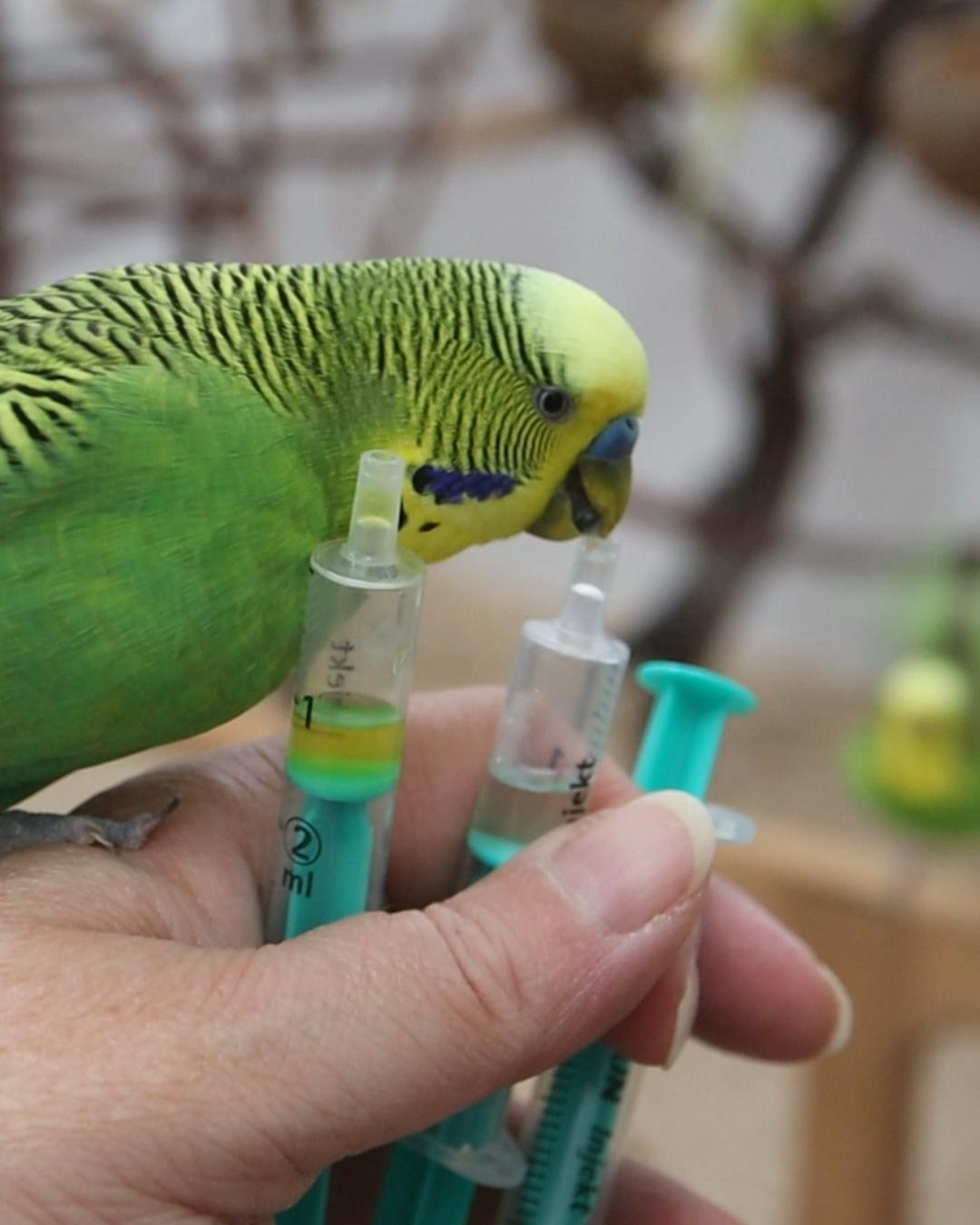 Muffin ist ein Held!