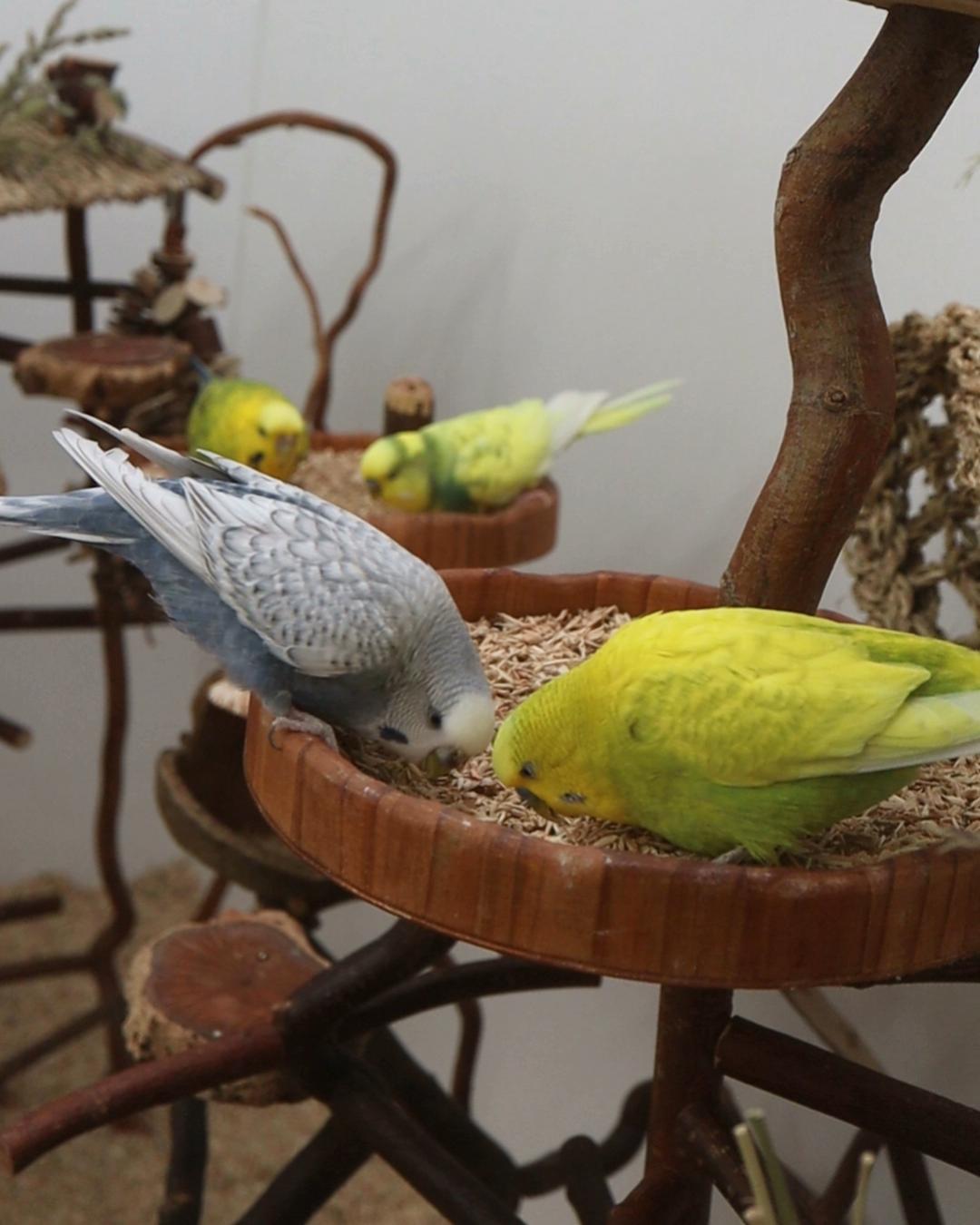 Kennt ihr das Spiel?