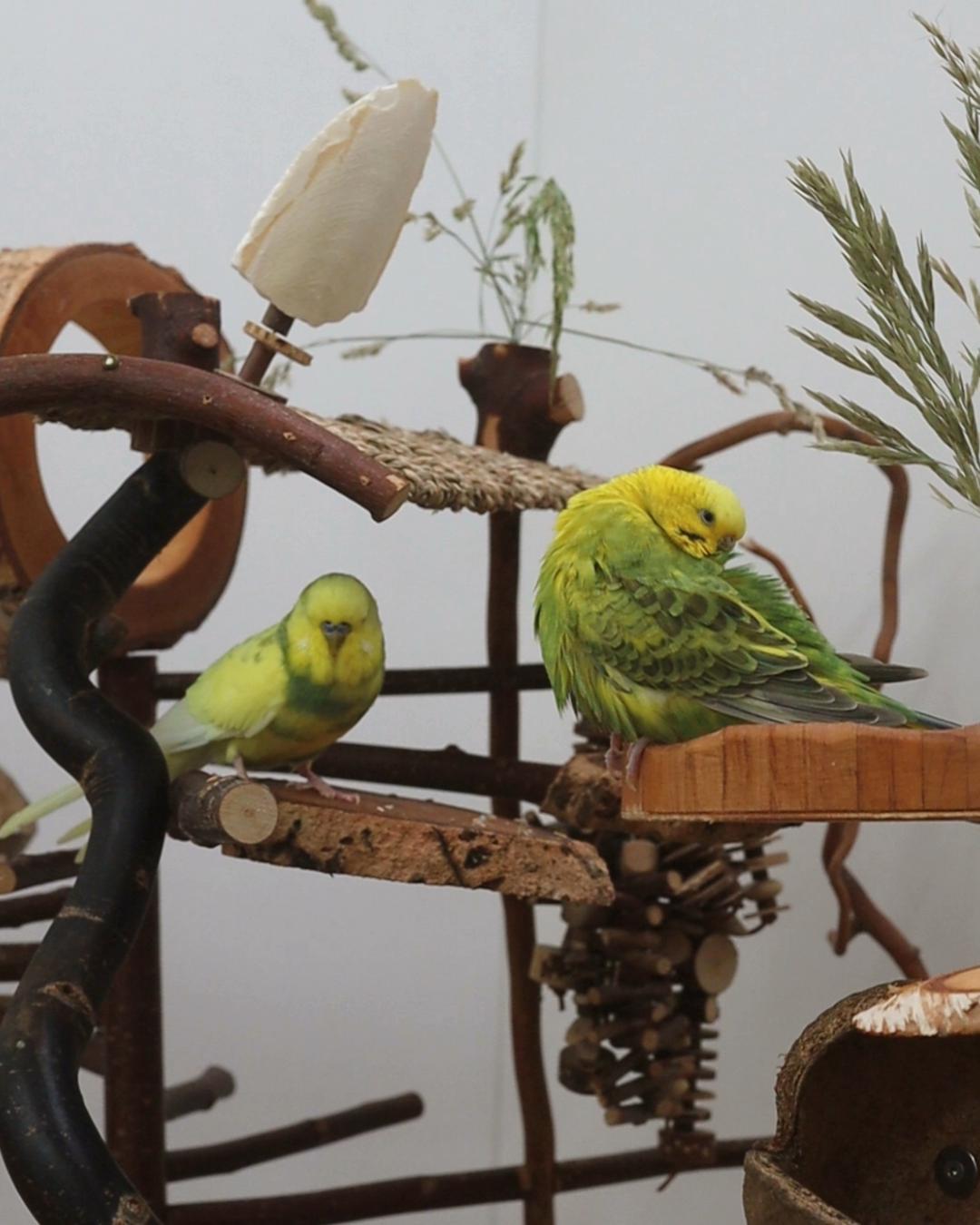 Gemütlichkeit testen