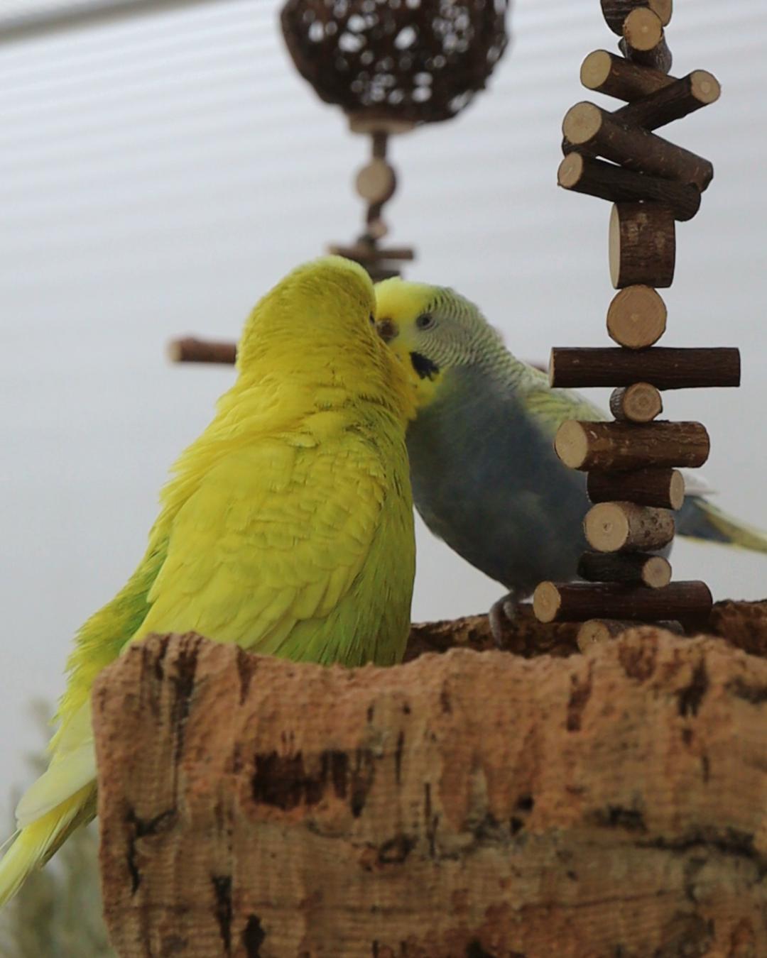 Alte Liebe rostet nicht