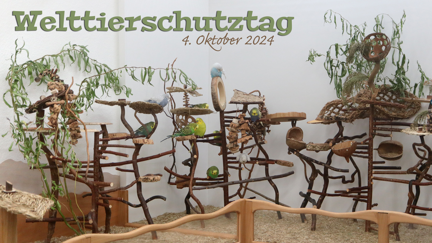 Zum Welttierschutztag