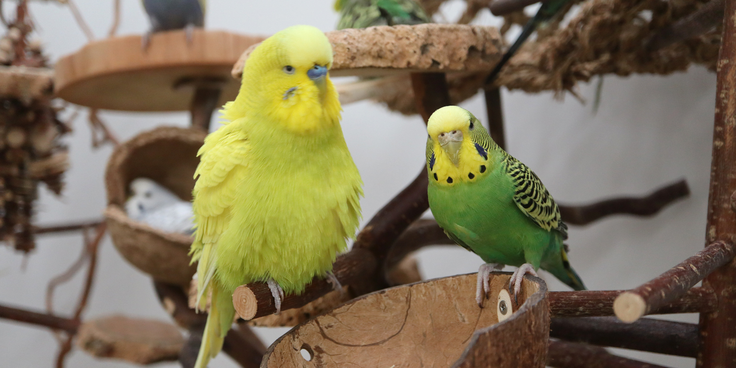 E.T. – einfach außerirdisch