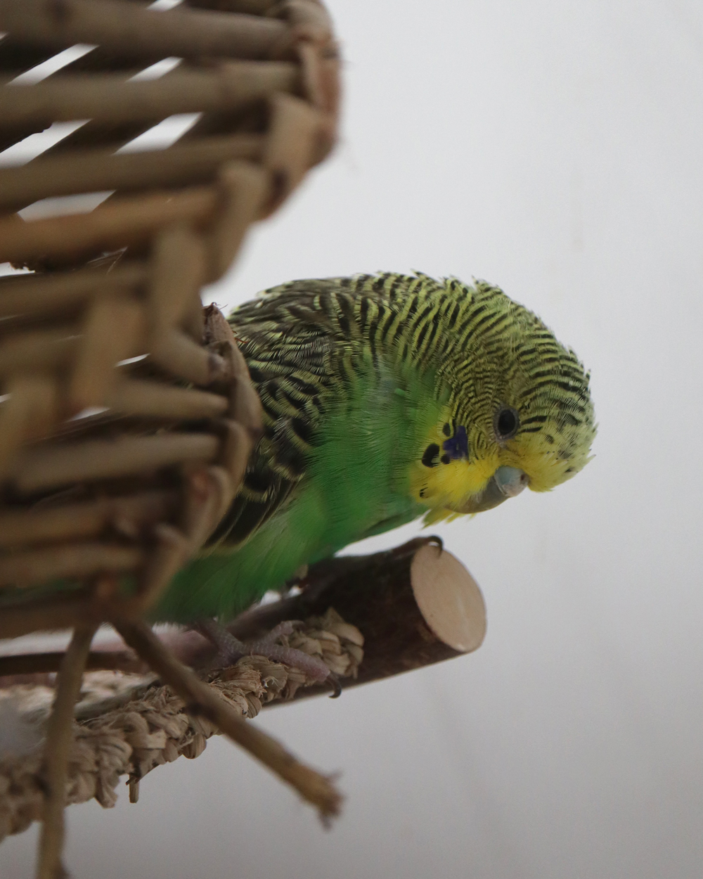 Eins, Zwei, Drei… Zehn.