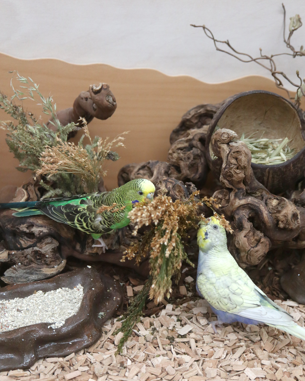 Kleine Abenteuer für schwere Handicaps