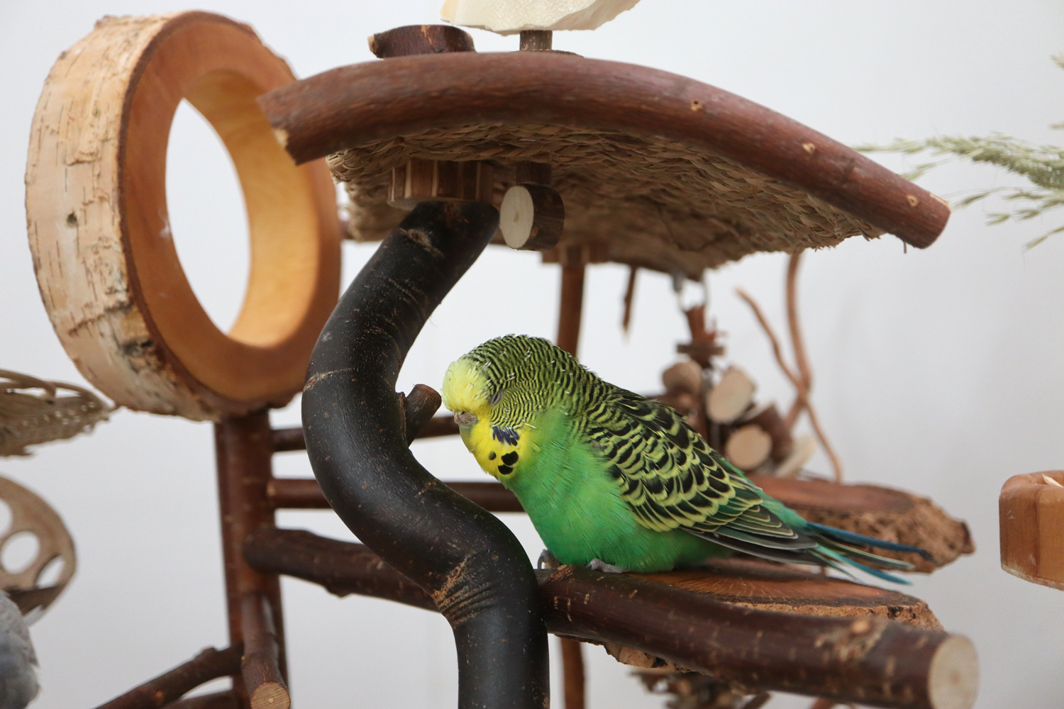 Gemütlicher Schattenplatz