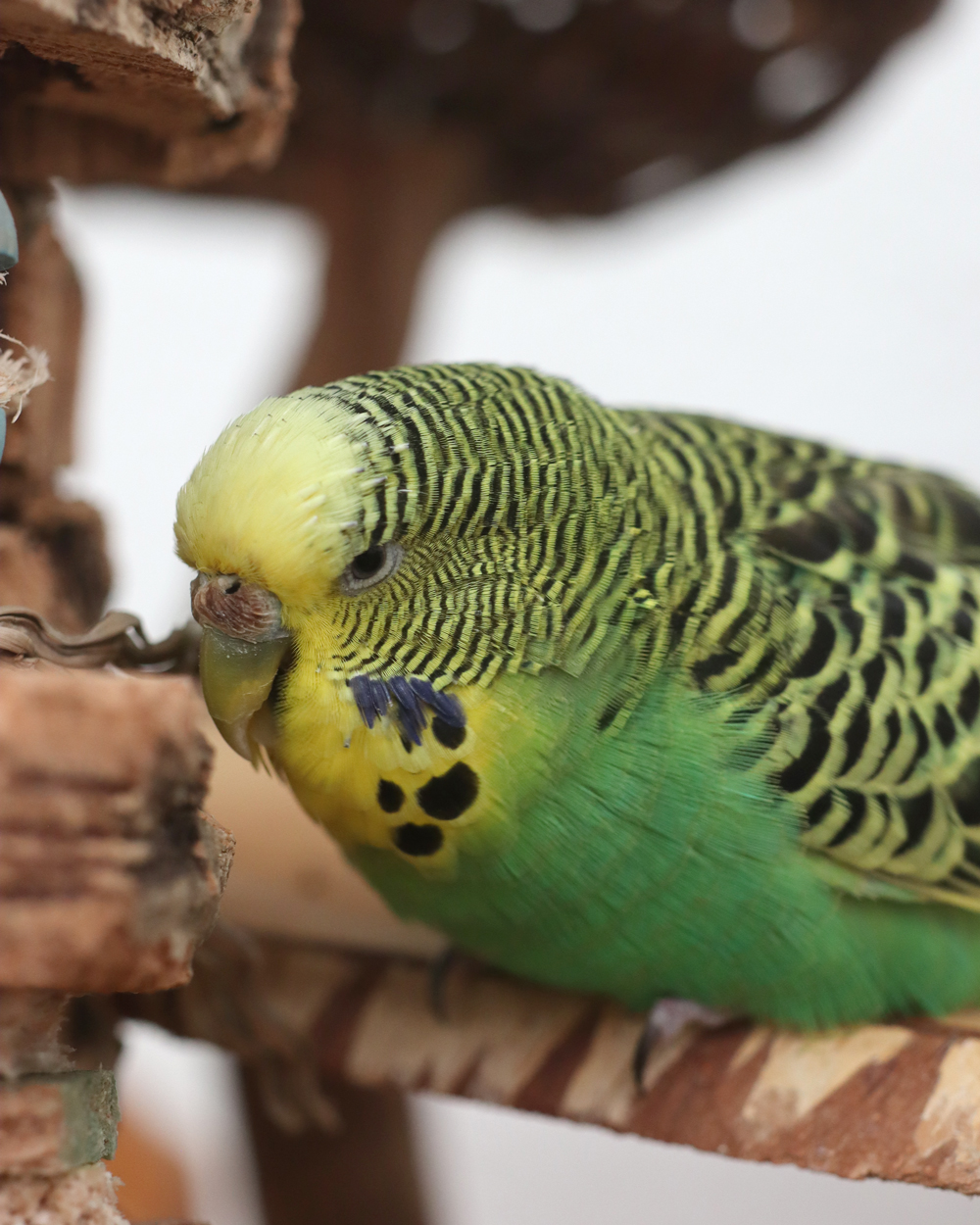 Bitte nicht stören!