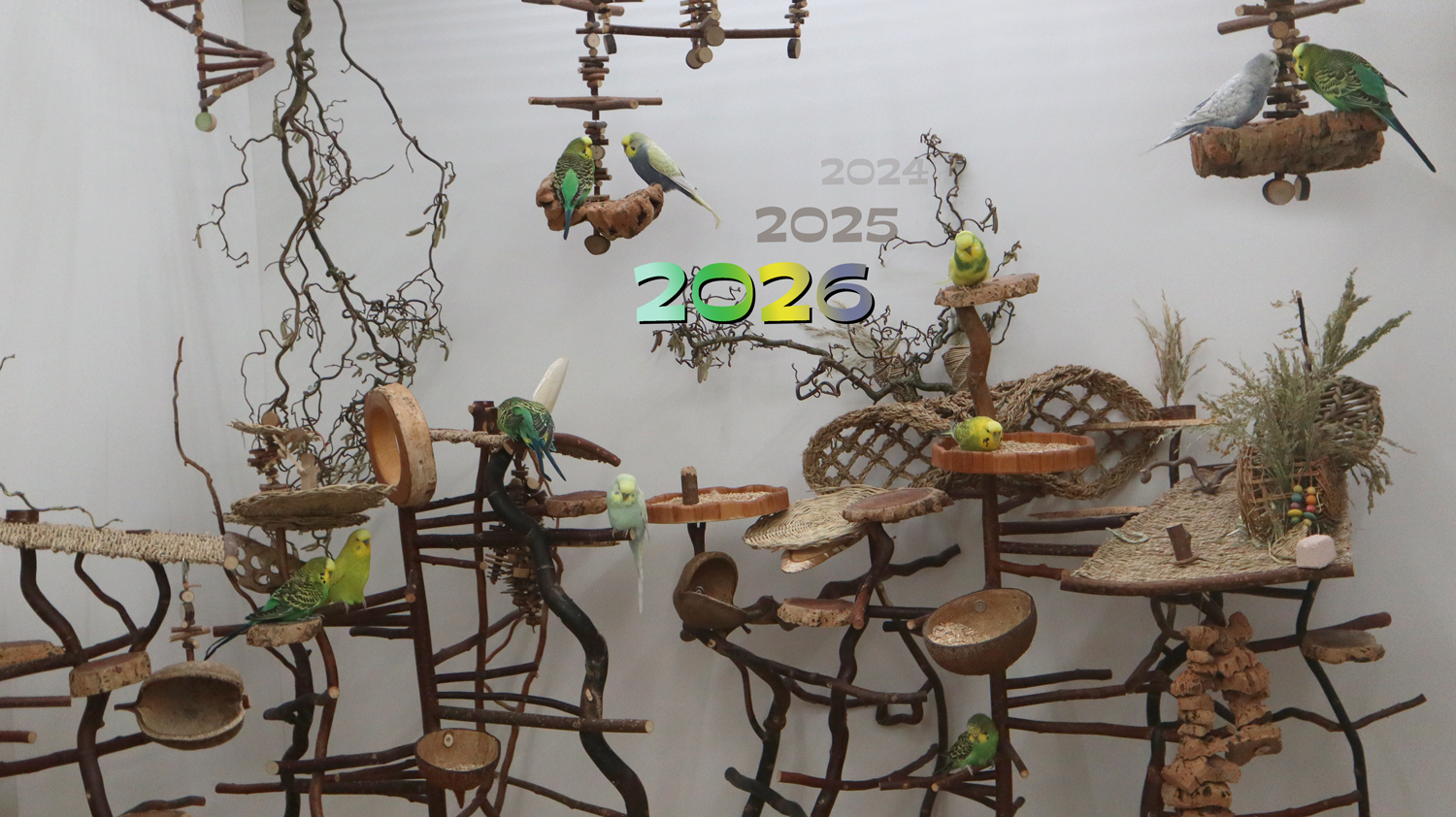 Guten Start ins Jahr 2026!