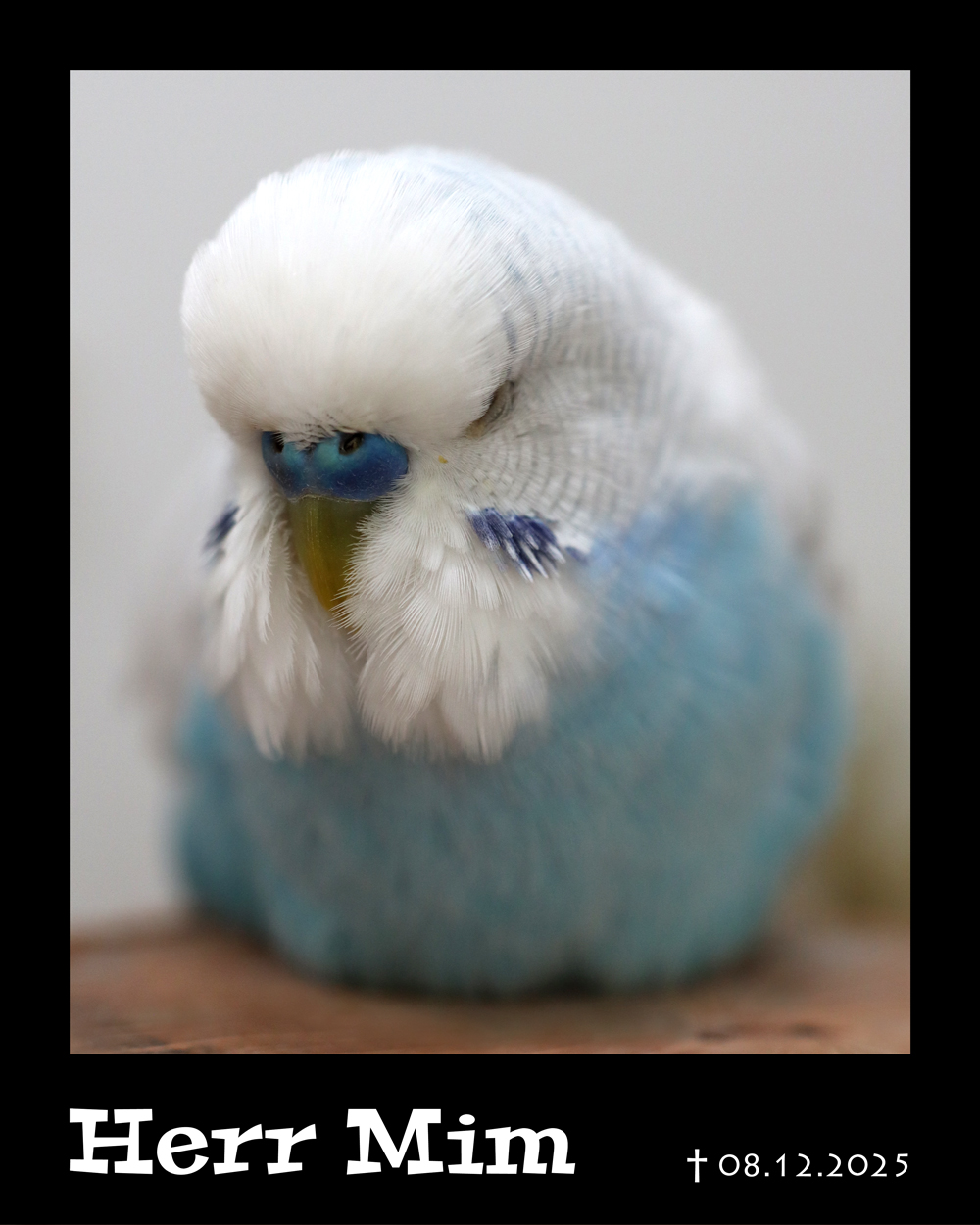 Dunkle Wolken im Outbäckle