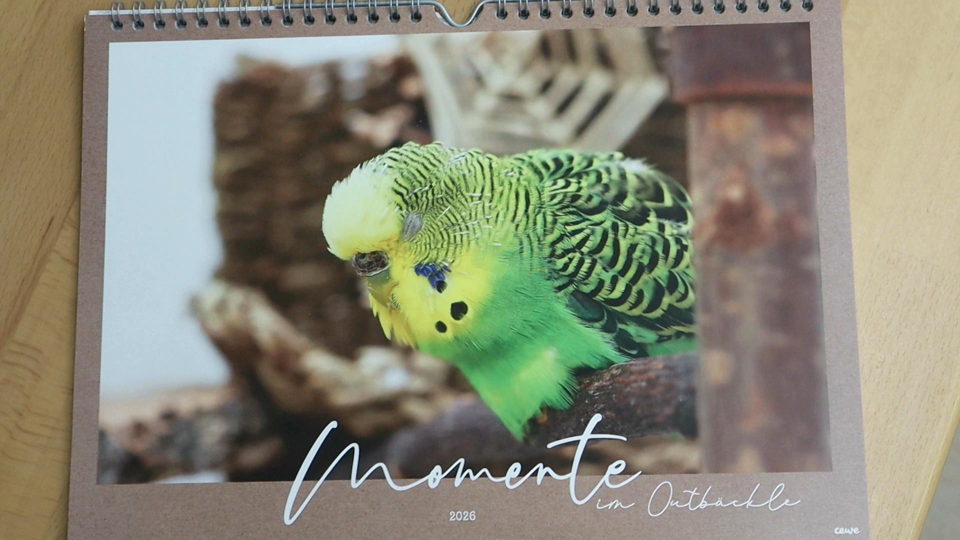 Wir haben jetzt auch einen…