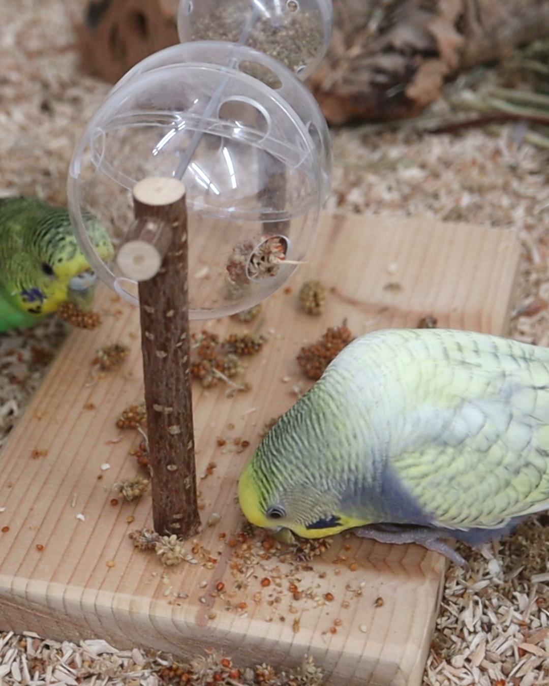 Jackpöttchen geknackt