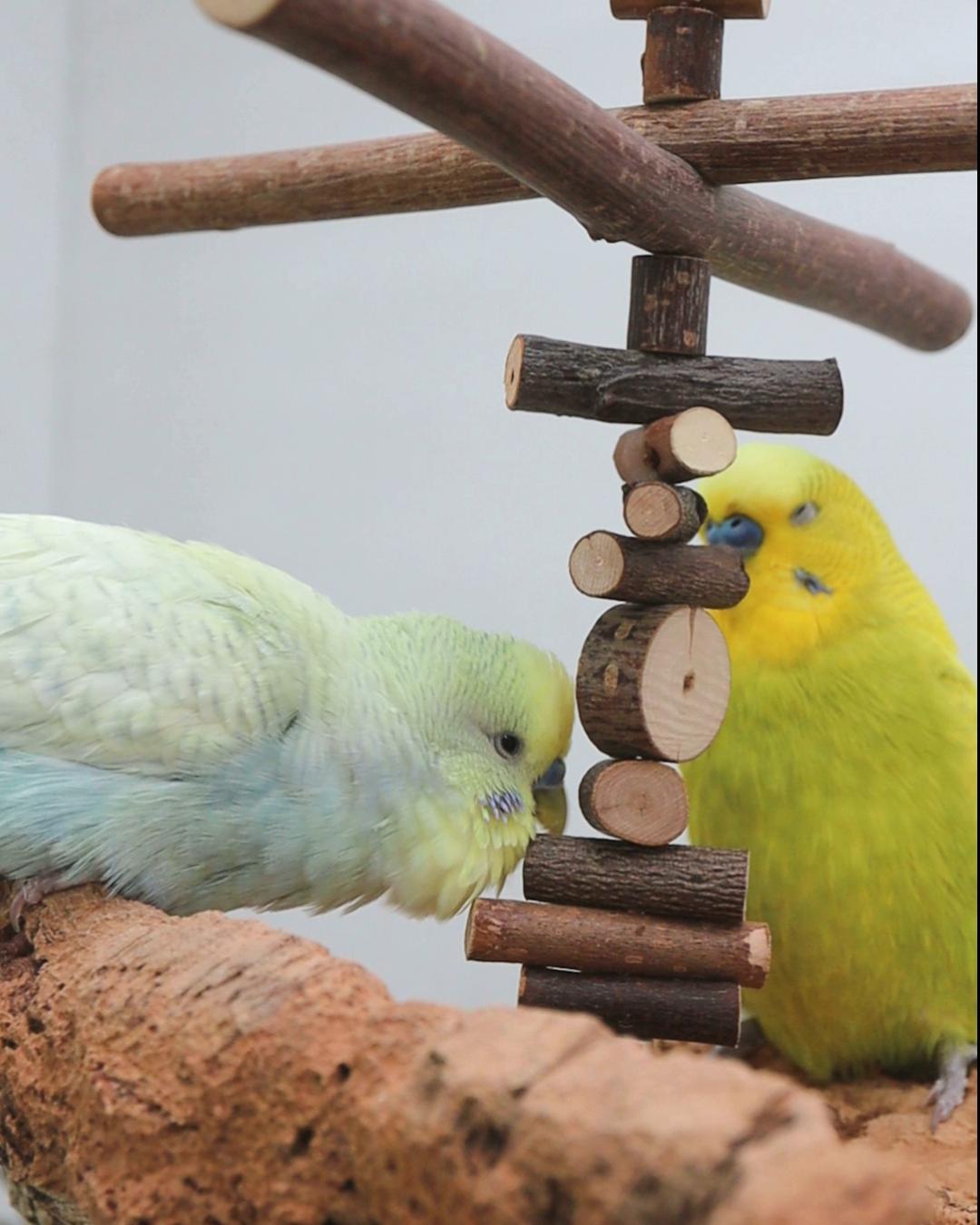 Abendstund‘ hat…